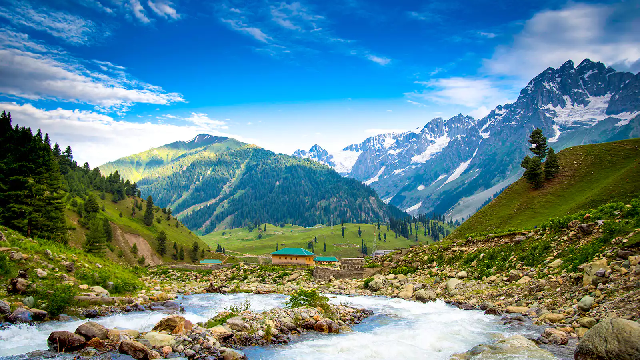 Kashmir_in_june_brown_chinar_kashmir.webp